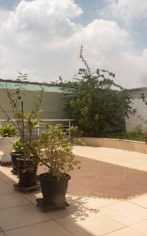 Casa à venda com 330m², 3 quartos e 4 vagasQuintal