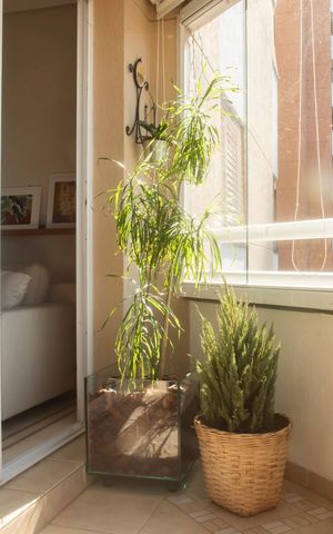 Apartamento à venda com 97m², 3 quartos e 2 vagasVaranda da Sala