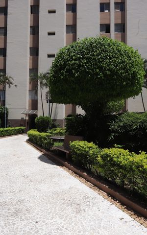 Apartamento para alugar com 42m², 2 quartos e 1 vagaÁrea comum - Jardins