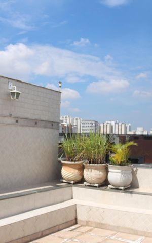 Apartamento à venda com 315m², 4 quartos e 4 vagasQuintal
