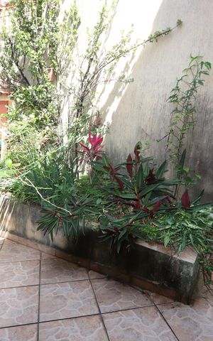 Casa à venda com 171m², 3 quartos e 3 vagasJardim