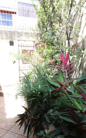 Casa à venda com 171m², 3 quartos e 3 vagasJardim