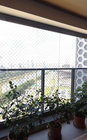 Apartamento à venda com 265m², 4 quartos e 4 vagasVaranda gourmet