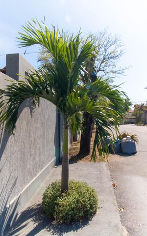 Casa à venda com 296m², 5 quartos e 4 vagas Casa à venda com 296m², 5 quartos e 4 vagasPlaquinha