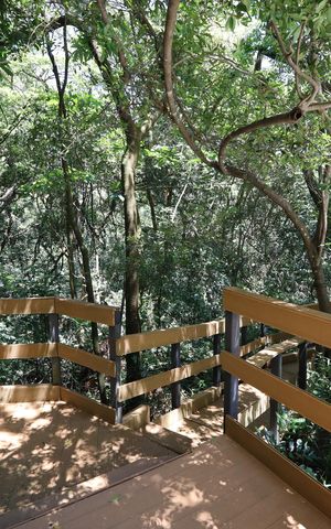 Apartamento à venda com 66m², 1 quarto e 1 vagaÁrea comum