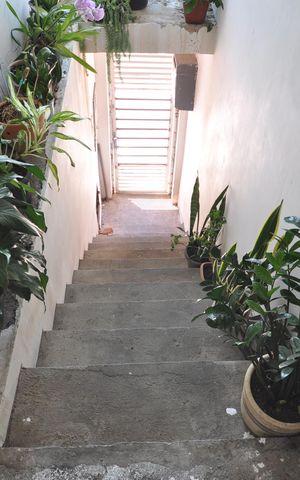 Casa à venda com 280m², 3 quartos e 1 vagaEscada de Acesso