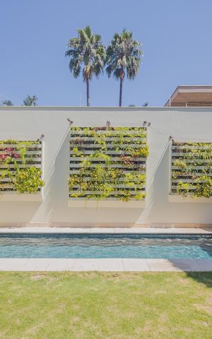 Casa à venda com 600m², 3 quartos e 5 vagasPiscina
