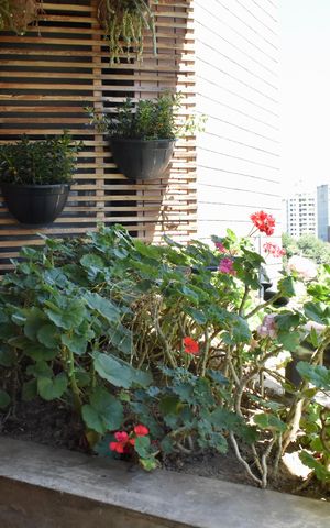 Apartamento à venda com 185m², 4 quartos e 3 vagasSacada