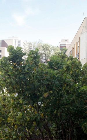 Apartamento para alugar com 146m², 1 quarto e 1 vagaSala 1 Vista