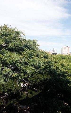 Apartamento para alugar com 146m², 1 quarto e 1 vagaCloset
