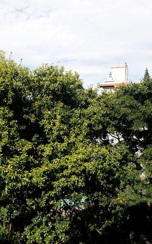 Apartamento para alugar com 146m², 1 quarto e 1 vagaQuarto Suíte Vista