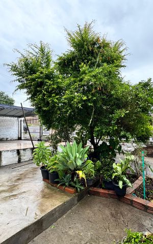 Casa à venda com 120m², 2 quartos e 2 vagas Casa à venda com 120m², 2 quartos e 2 vagasÁrea Externa
