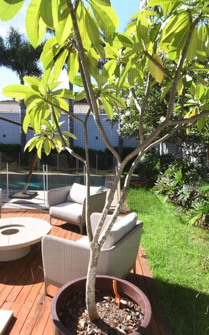 Casa de condomínio para alugar com 398m², 4 quartos e 6 vagasQuarto Suíte 3 - Vista
