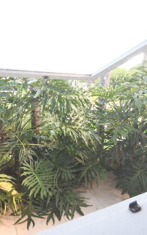 Casa de condomínio para alugar com 398m², 4 quartos e 6 vagasBanheiro de serviço