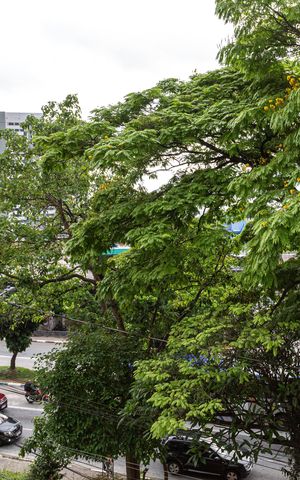 Apartamento à venda com 50m², 2 quartos e sem vaga Apartamento à venda com 50m², 2 quartos e sem vagaCozinha e Área de Serviço - vista
