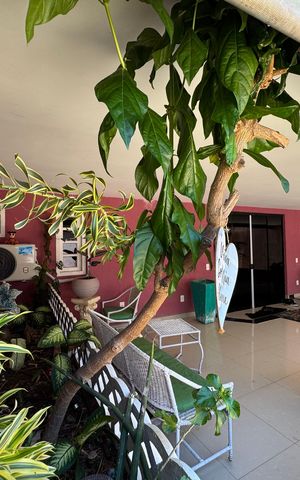 Casa de condomínio à venda com 300m², 4 quartos e 1 vaga Casa de condomínio à venda com 300m², 4 quartos e 1 vagaVaranda