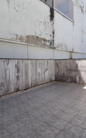 Casa à venda com 301m², 2 quartos e 4 vagasQuintal