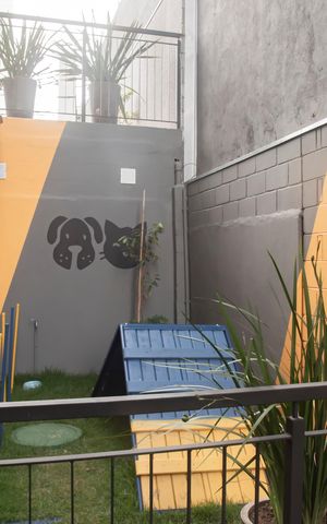 Apartamento para alugar com 26m², 1 quarto e sem vagaÁrea comum - Espaço pet