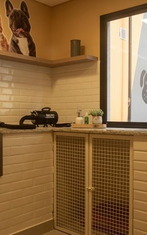 Apartamento para alugar com 26m², 1 quarto e sem vagaÁrea comum - Brinquedoteca