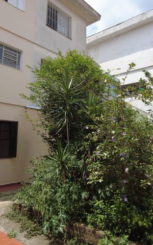 Casa à venda com 127m², 3 quartos e 2 vagasQuintal