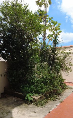 Casa à venda com 127m², 3 quartos e 2 vagasQuintal