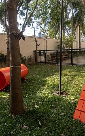 Apartamento para alugar com 67m², 2 quartos e 1 vaga Apartamento para alugar com 67m², 2 quartos e 1 vagaespaço pet