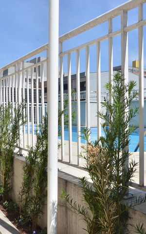 Apartamento à venda com 63m², 2 quartos e 1 vagaÁrea comum - Piscina