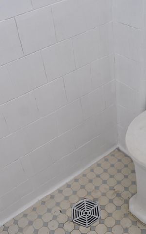 Casa para alugar com 250m², 5 quartos e sem vagaBanheiro 2