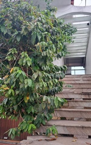 Casa à venda com 156m², 2 quartos e 5 vagas