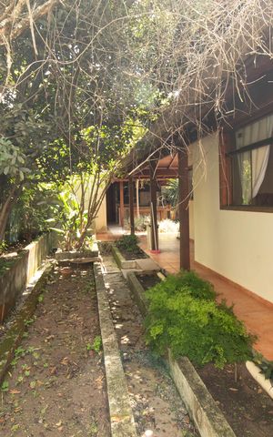 Casa para alugar com 320m², 3 quartos e 3 vagas Casa para alugar com 320m², 3 quartos e 3 vagasQuintal