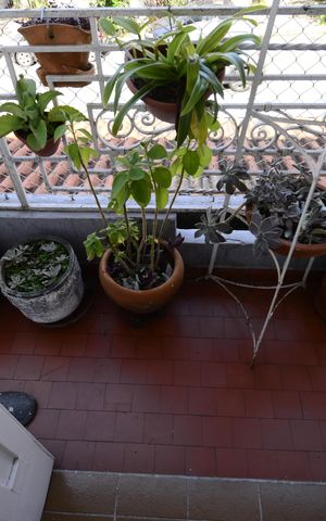 Casa à venda com 180m², 4 quartos e 1 vagaSuíte