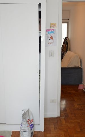 Apartamento à venda com 70m², 2 quartos e 1 vagaQuarto 1