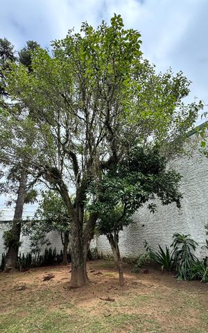 Casa à venda com 130m², 3 quartos e 1 vaga Casa à venda com 130m², 3 quartos e 1 vagaÁrea comum