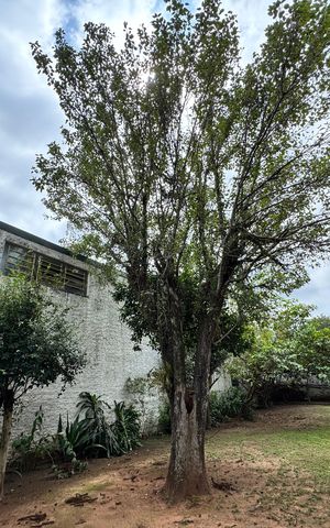 Casa à venda com 130m², 3 quartos e 1 vaga Casa à venda com 130m², 3 quartos e 1 vagaÁrea comum