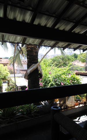 Casa de condomínio à venda com 307m², 3 quartos e 2 vagasQuarto 2 - Varanda