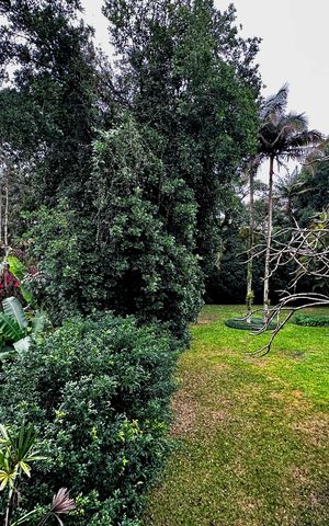 Casa à venda com 490m², 4 quartos e 7 vagas Casa à venda com 490m², 4 quartos e 7 vagasVista Closet Suíte 1