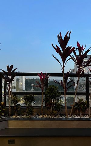 Apartamento à venda com 410m², 3 quartos e 3 vagasÁrea Externa