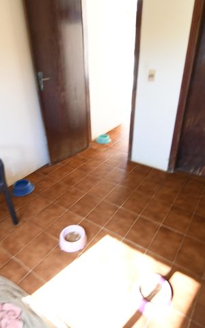 Casa à venda com 258m², 4 quartos e 2 vagasQuarto de Serviço