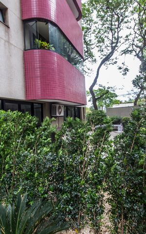 Apartamento à venda com 220m², 3 quartos e 3 vagasÁrea comum