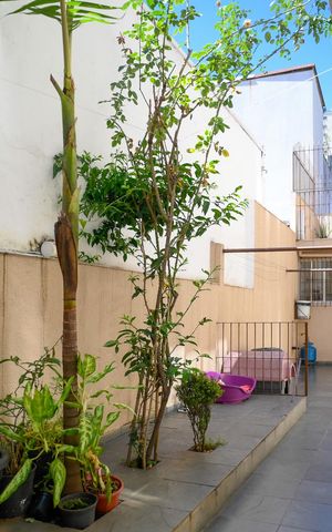 Casa à venda com 248m², 4 quartos e 2 vagasQuintal