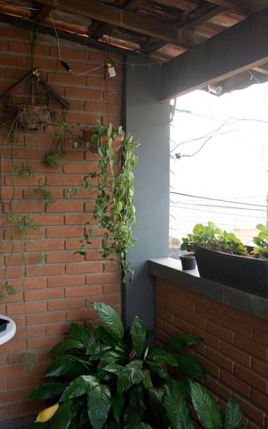 Casa à venda com 236m², 4 quartos e 3 vagasQuintal