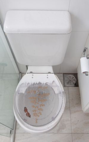 Apartamento para alugar com 64m², 2 quartos e 2 vagasBanheiro da Suite