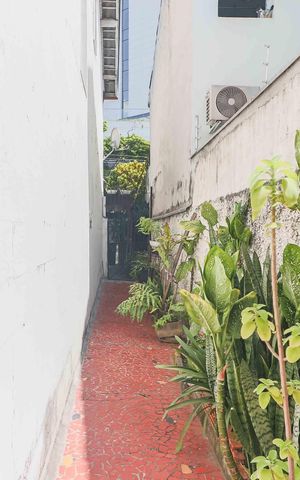 Casa à venda com 126m², 2 quartos e 2 vagas Casa à venda com 126m², 2 quartos e 2 vagasQuintal