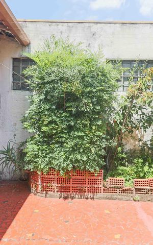 Casa à venda com 126m², 2 quartos e 2 vagas Casa à venda com 126m², 2 quartos e 2 vagasQuintal