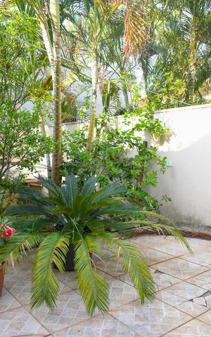 Casa à venda com 133m², 3 quartos e 2 vagas Casa à venda com 133m², 3 quartos e 2 vagasQuintal