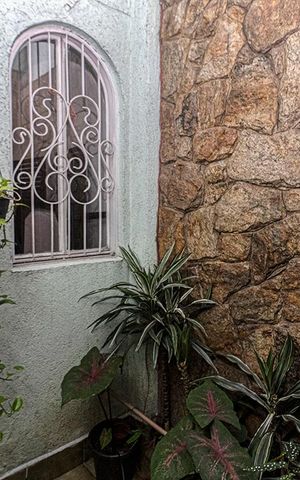 Casa à venda com 200m², 4 quartos e 2 vagas Casa à venda com 200m², 4 quartos e 2 vagasSala - jardim de inverno