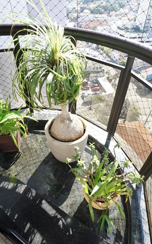 Apartamento para alugar com 118m², 3 quartos e 2 vagasVaranda da Suíte
