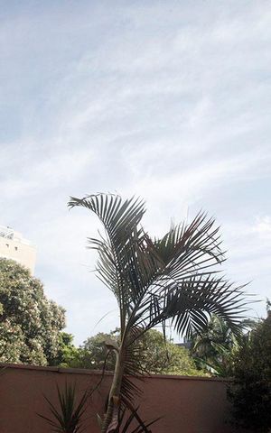 Apartamento à venda com 114m², 3 quartos e 1 vagaSala de Estar Vista