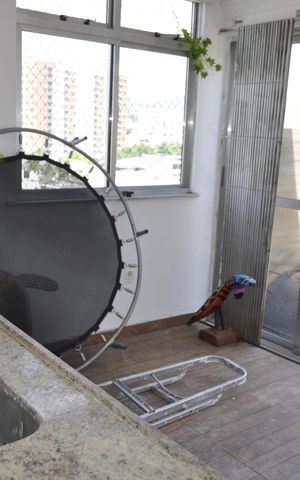 Apartamento à venda com 280m², 3 quartos e 1 vagaChurrasqueira