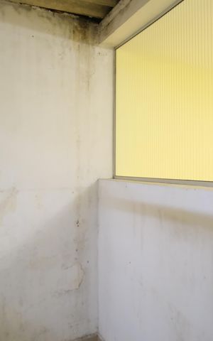 Casa à venda com 350m², 7 quartos e 4 vagasÁrea de Serviço